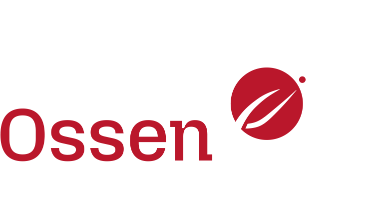 Ossen GmbH – Finanzdienstleistungen